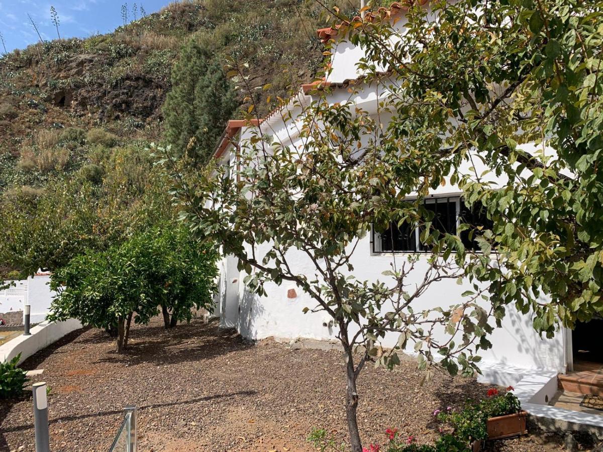 Casa Rural La Yedra San Mateo Arbejales Exterior foto